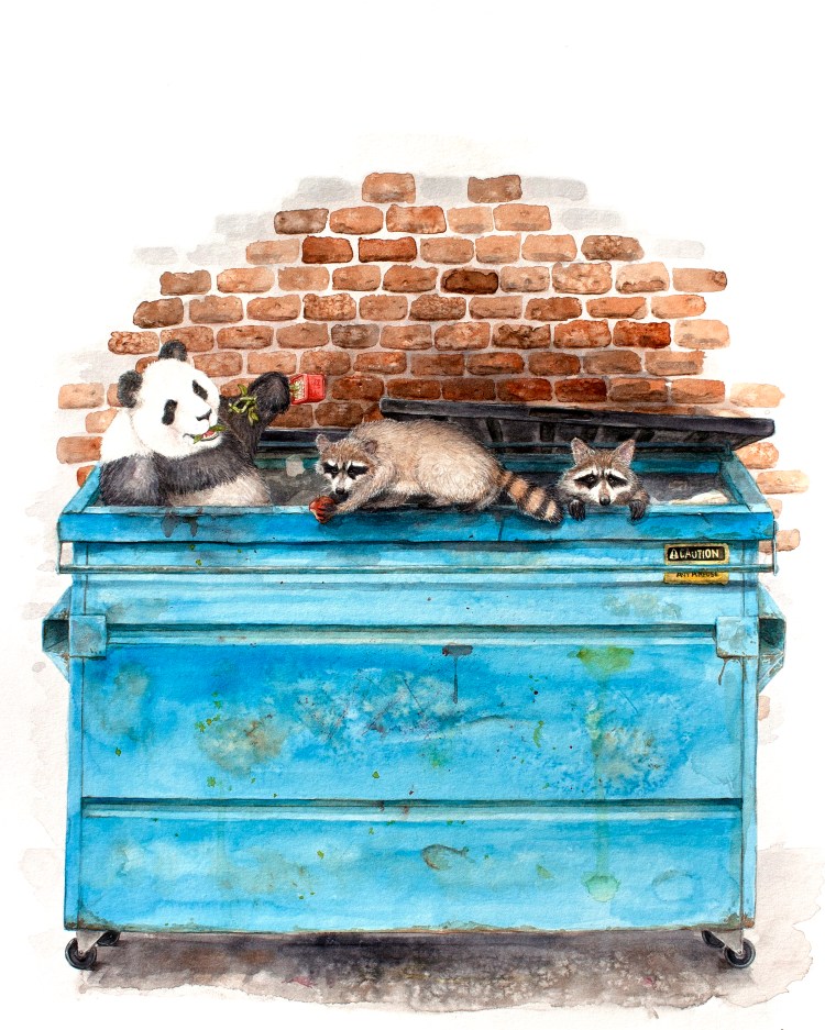 Trash Pandas1620400FIXED