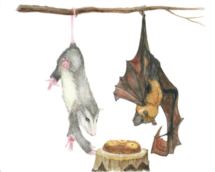 Upside Down Cake810400