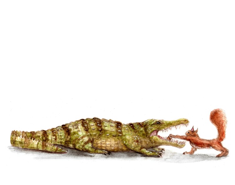 squirrel gator1114100